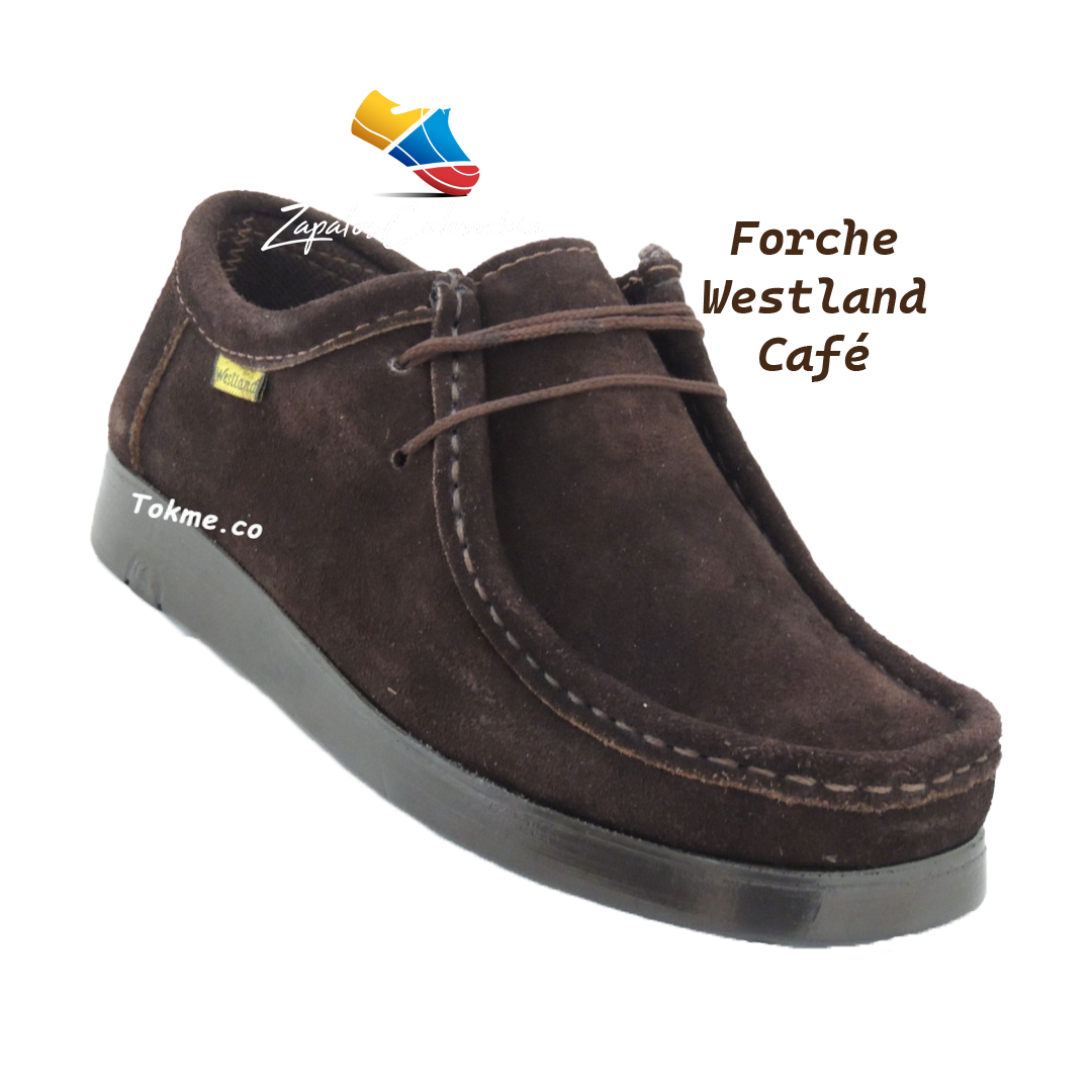 Zapato 2